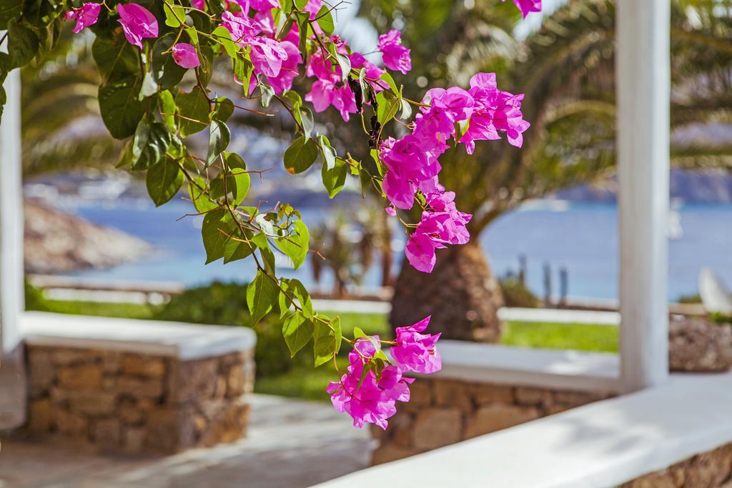 Sea View Residence Mykonos Town Экстерьер фото